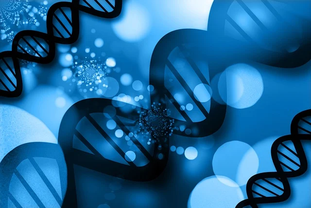 高密度高回彈聚氨酯軟泡，有效分散壓力，緩解身體疲勞